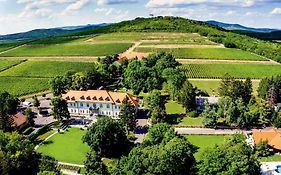 Castle Hotel Grof Degenfeld